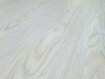 ������XF01