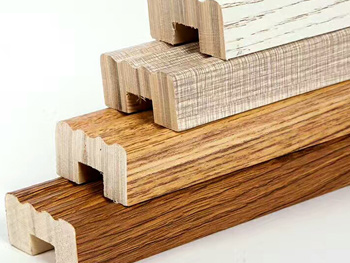 ȫ�ݶ���XF016